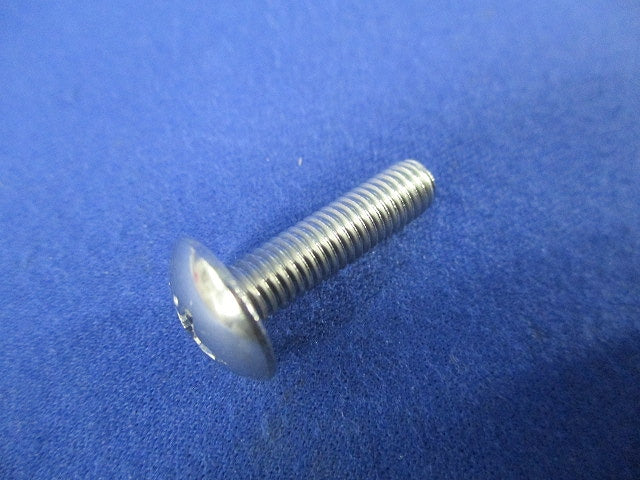 トラスビス5×20(ステンレス)(20個入) 5×20