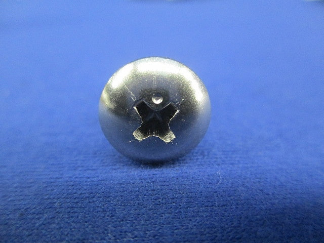 トラスビス5×20(ステンレス)(20個入) 5×20