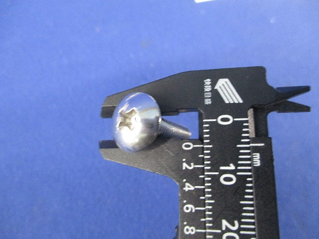 トラスビス5×20(ステンレス)(20個入) 5×20