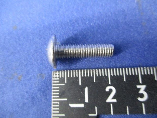 トラスビス5×20(ステンレス)(20個入) 5×20