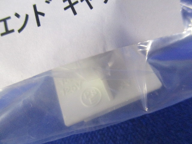 直付専用エンドキャップ(6個入)(ホワイト) DP-00232W