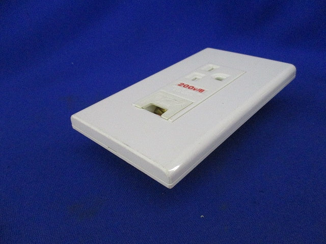 埋込アースターミナル付接地コンセント・プレートセット WTF19324K他