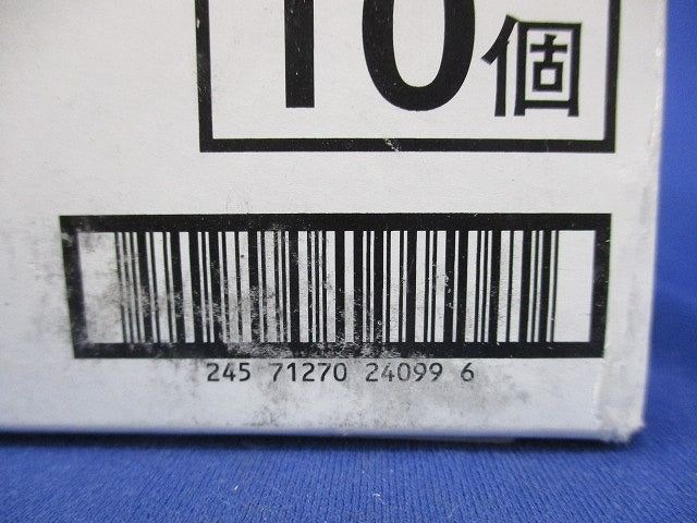 レースウェイ 継ぎ金具(10個入) DG1