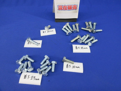 メッキ六角ボルトセット(M10)(混在28個入) 40mm他