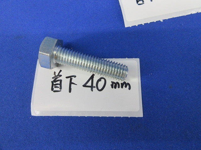 メッキ六角ボルトセット(M10)(混在28個入) 40mm他