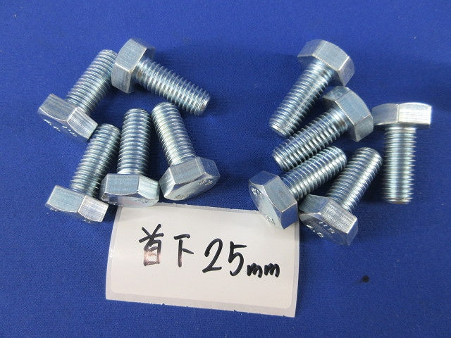 メッキ六角ボルトセット(M10)(混在28個入) 40mm他