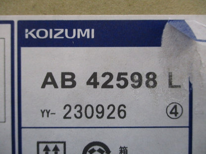 LEDブラケットライト 2700K 電球色 非調光 AB42598L