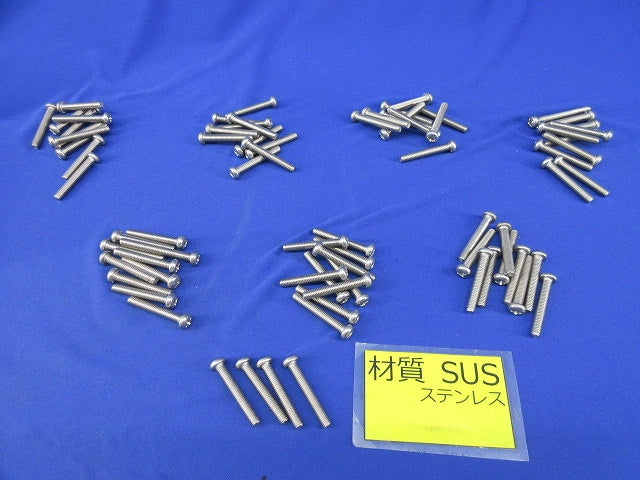 ステンレス十字付小ネジ(74個入) M6×40