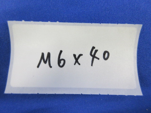 ステンレス十字付小ネジ(74個入) M6×40