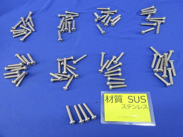 ステンレス ナベ頭小ねじ(84個入) M6×30