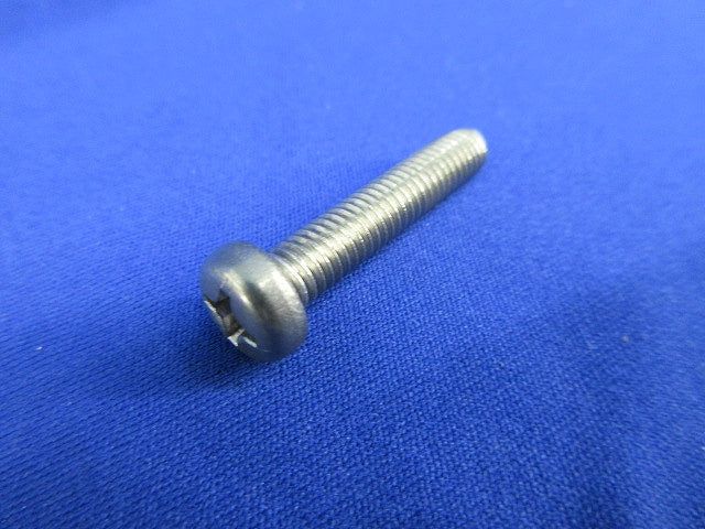 ステンレス ナベ頭小ねじ(84個入) M6×30