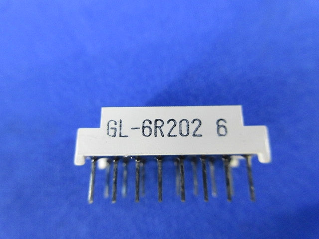 7Seg Display 10個入 GL6R2026