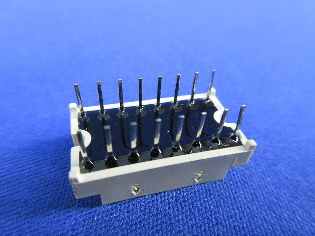 7Seg Display 10個入 GL6R2026
