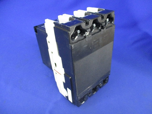 一般配線用オートブレーカ 125A BW250RAG