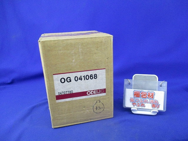 白熱灯ポーチライト E17(ランプ付) OG041068
