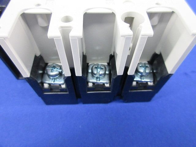 漏電遮断器3P3E30A NV63-CV