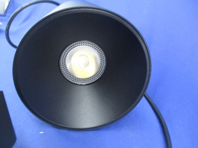 LEDスポットライト(ブラック)(電源ユニット別売) 246SL40.24XD70-W10