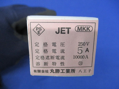 セラミックヒューズ(100個入) 250V5A