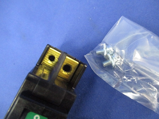 漏電遮断器2P2E30A FG52C