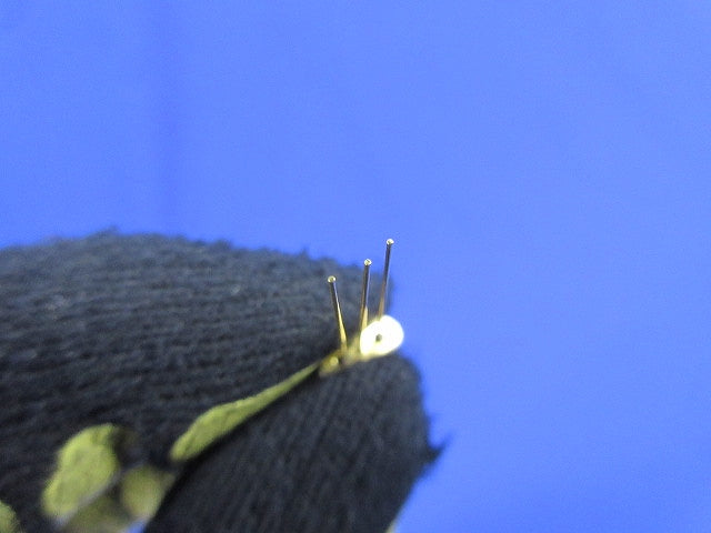Crystal Filter 5個入 21M15A