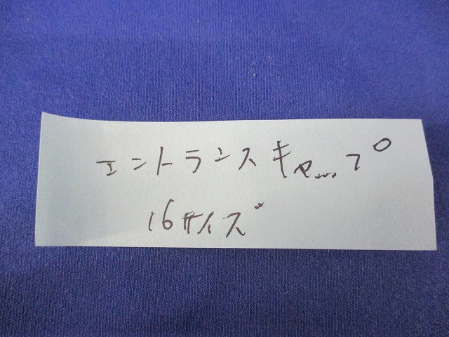 エントランスキャップ(2個入) 16