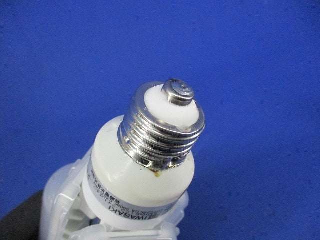 LEDライトバルブ E26 LDTS24N-GA