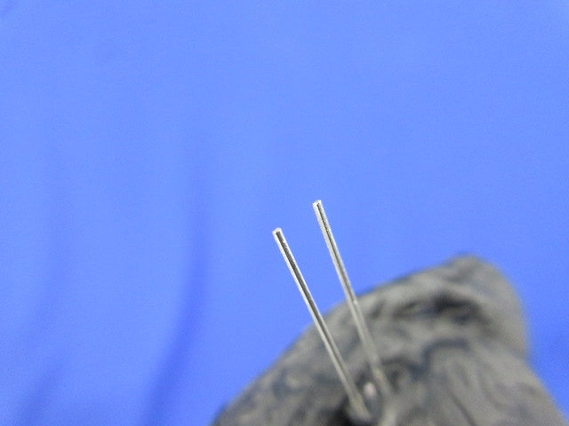 Diode 20個入 1SV101