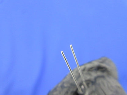 Diode 20個入 1SV101