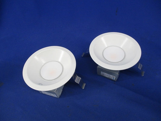 LEDダウンライト φ100 (電球色)２個入 DDL-6102YW