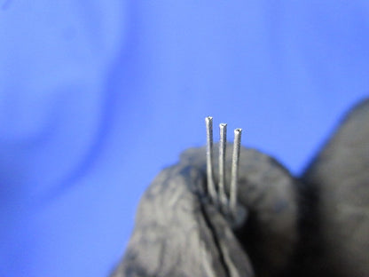 Diode 100個入 1SV55