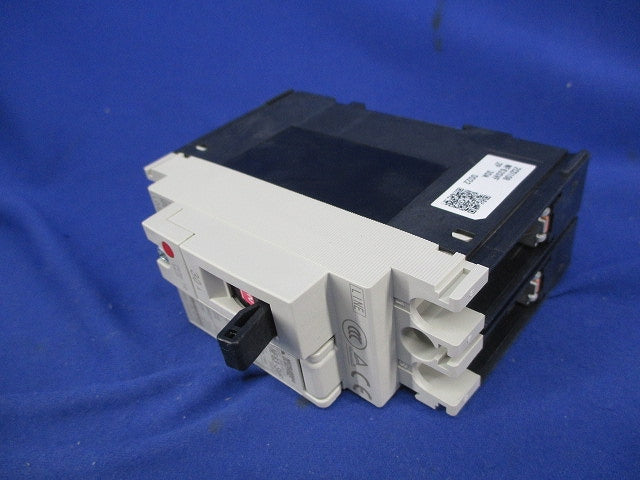 ノーヒューズブレーカ2P30A NF63-SVF