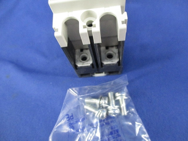 ノーヒューズブレーカ2P30A NF63-SVF