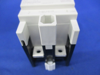 漏電遮断器2P2E5A NV30-FA