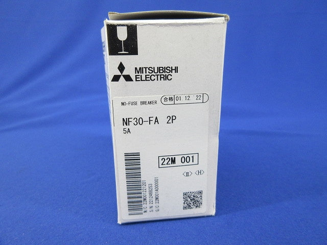ノーヒューズブレーカ2P2E5A NF30-FA