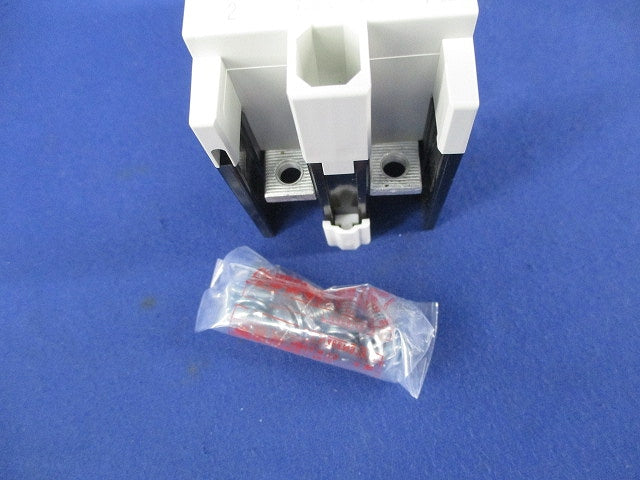 漏電遮断器2P2E10A NV30-FA