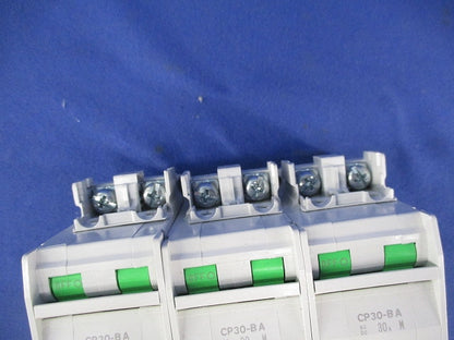 サーキットプロテクタ 2P30A(3個入) CP30-BA
