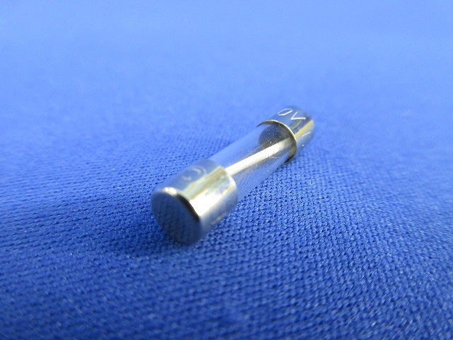 Fuse 1000個入 T200mA 250V 5x20mm