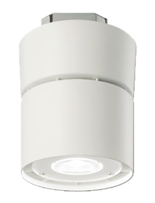 LEDシーリングダウンライト 5000K LEDD-95423N-LD9