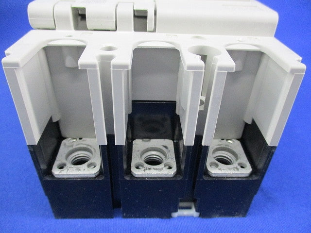 サーキットブレーカ3P3E125A NV125-CVF