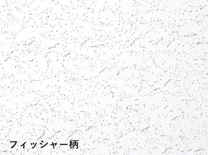 ソーラトン ロックウール化粧吸音板 平板9ｍｍ 300×600 フィッシャー柄 18枚入 ST9-S-600