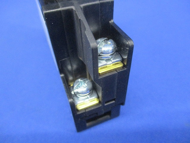 漏電遮断器 2P2E30A30ｍA FG52C2P2E30A30mA
