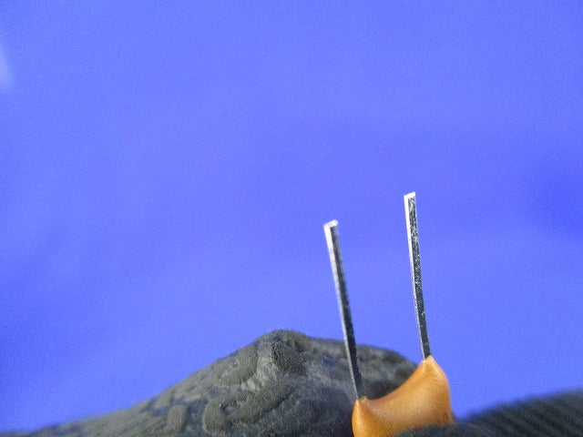 セラミックフィルタ 10個入 KBP-6.0M