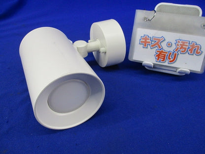 スポットライト 直付タイプ LED(昼白色) 調光不可 LGS1000NLE1
