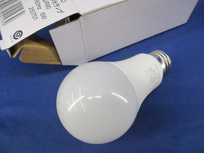 LED電球一般形E26 NO.295FL LDA6L-G/R90