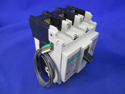 漏電遮断器3P30A EW32AAG-3P030