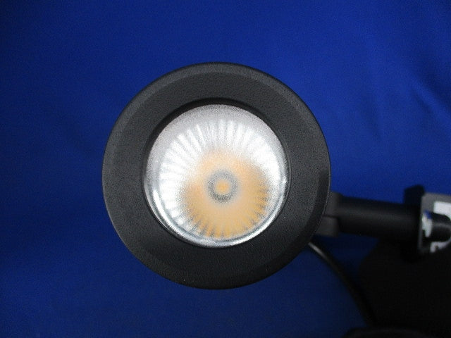 LEDスポットライト AD-3136-L