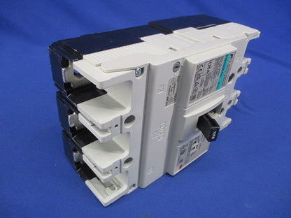 漏電遮断器 3P125A EW250EAG3P125A
