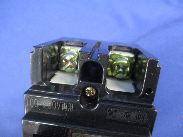 漏電ブレーカ2P2E60A(ジャンク品) GE62C