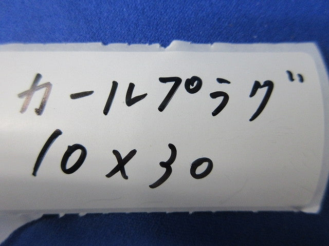 カールプラグ(96個入) 10×30