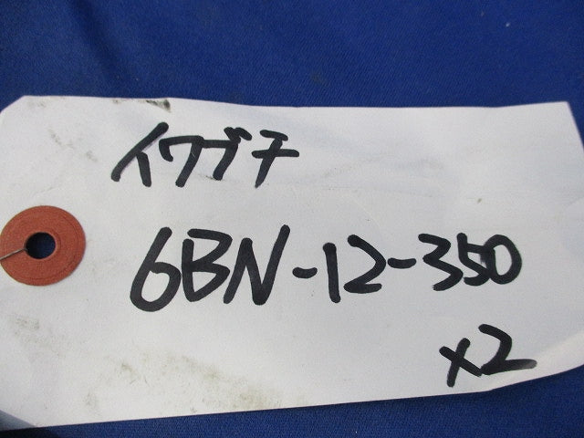 ボルト(2本入) 6BN-12-350
